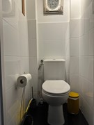 toilet iphone 2.JPG